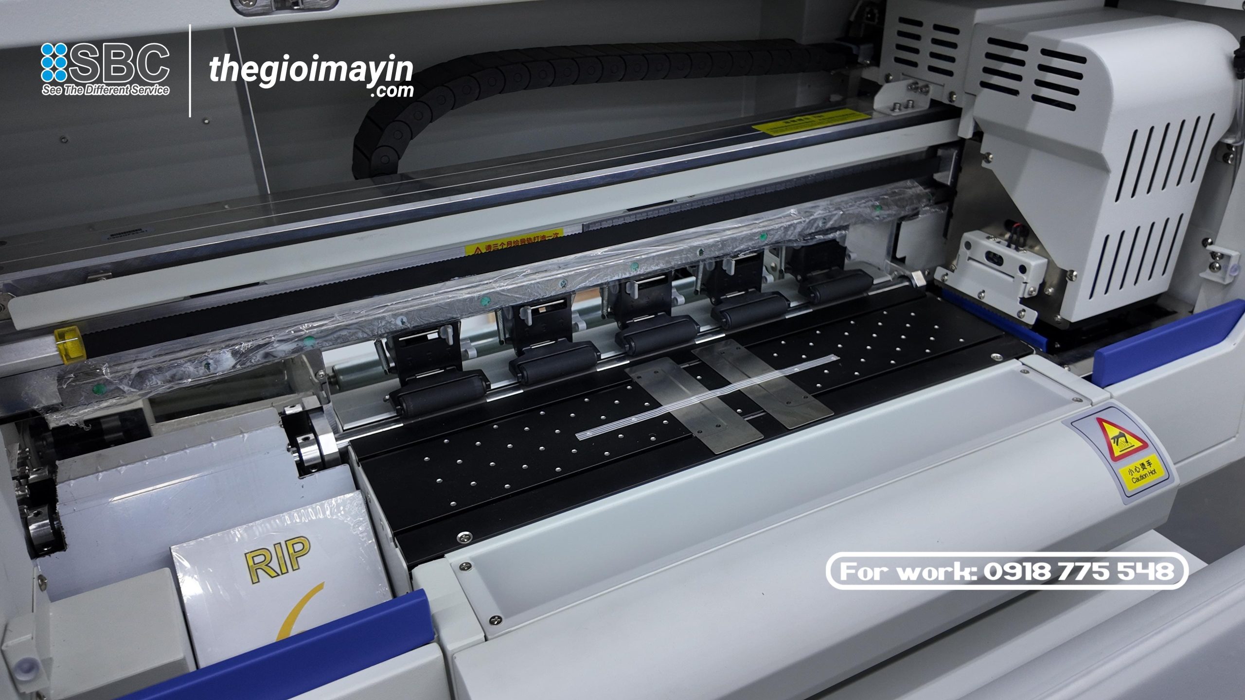 snapdouyin.app hd 1764383255239 scaled