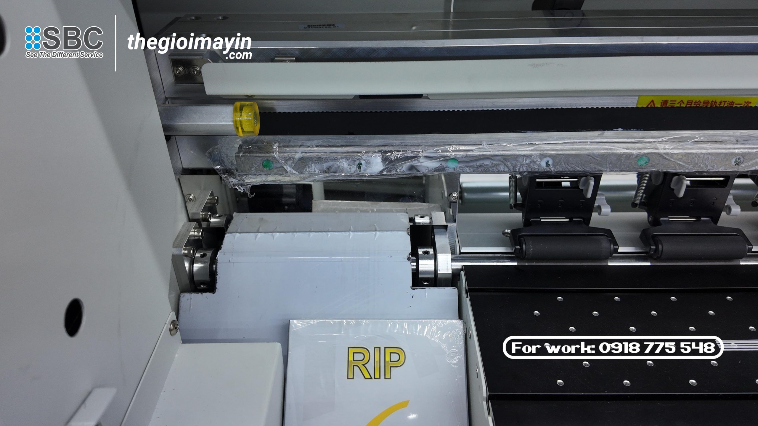 snapdouyin.app hd 1764383257682 scaled