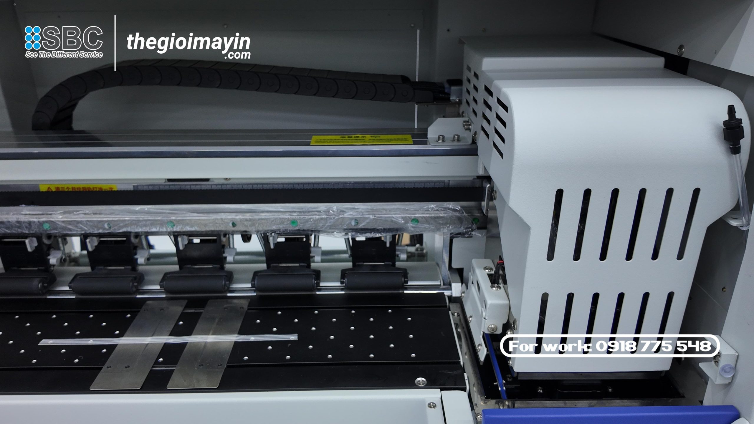 snapdouyin.app hd 1764383261719 scaled